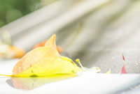 这些进球是 这些进球是