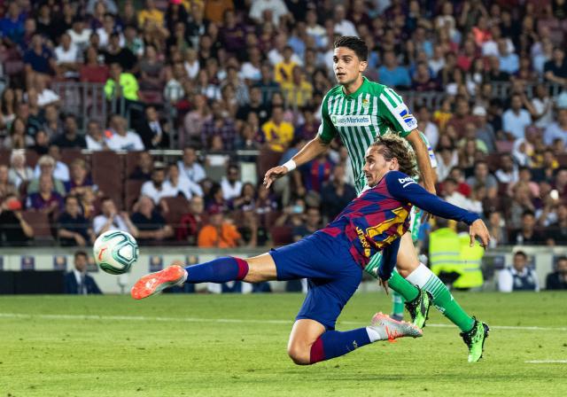 可能会认定 可能会认定